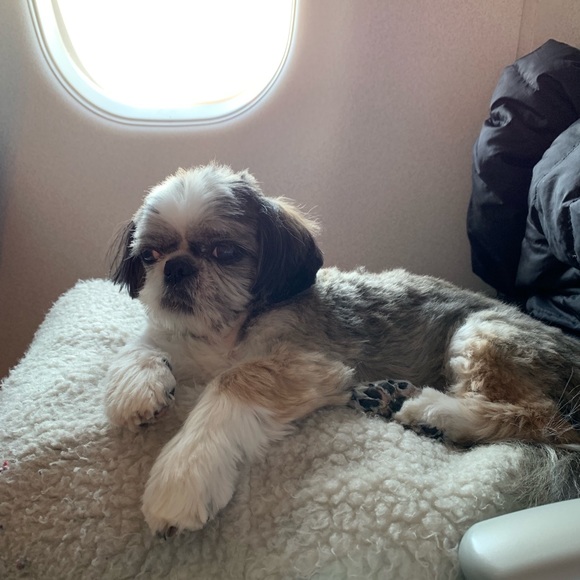 Meet your Posher, Alison - Picture 1 of 1